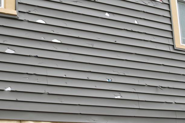 Best Steel Siding Installation  in Pleasant Prairie, WI